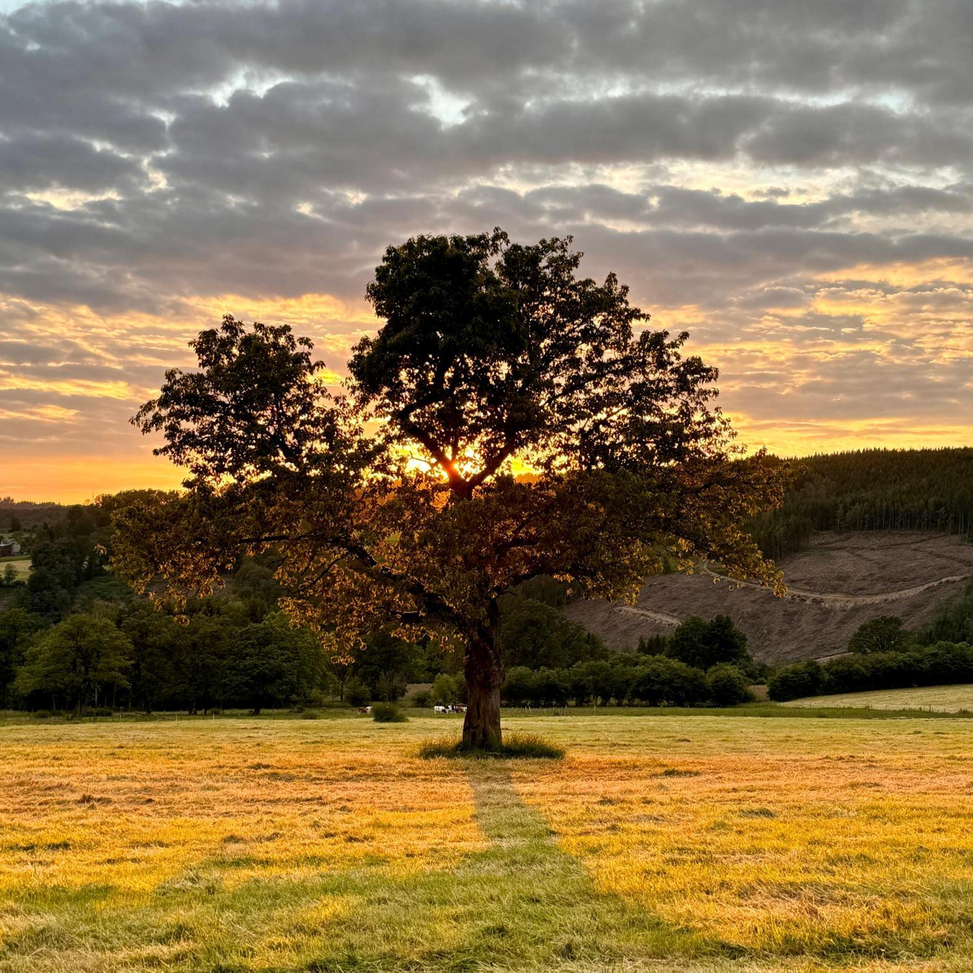 Le Dragon - Gite Accueillant Malmedy Buitenkant foto