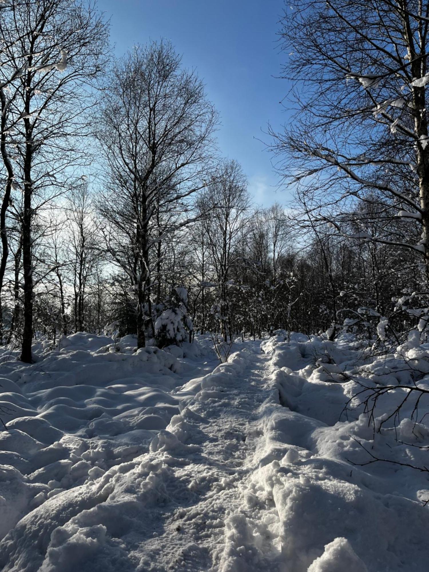 Le Dragon - Gite Accueillant Malmedy Buitenkant foto