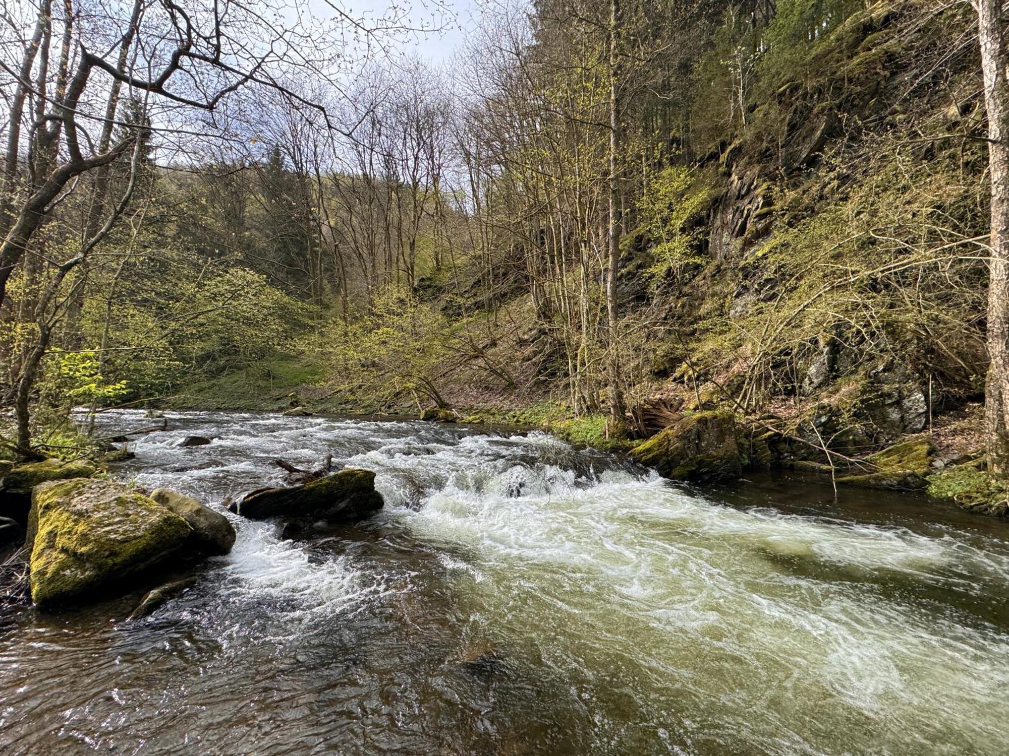 Le Dragon - Gite Accueillant Malmedy Buitenkant foto