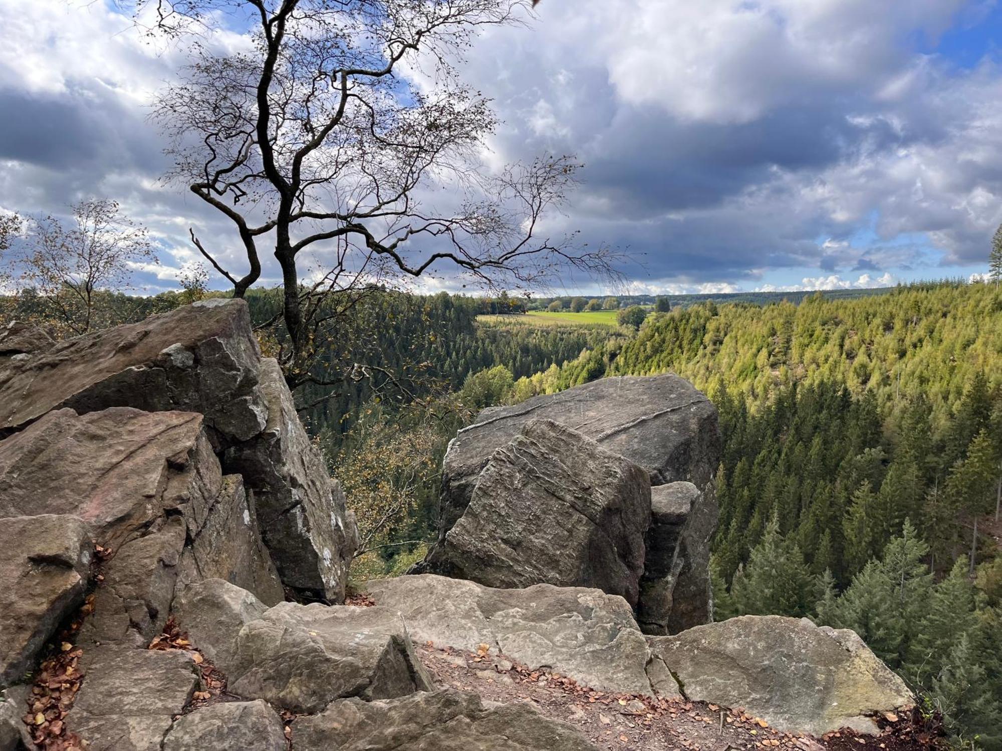 Le Dragon - Gite Accueillant Malmedy Buitenkant foto