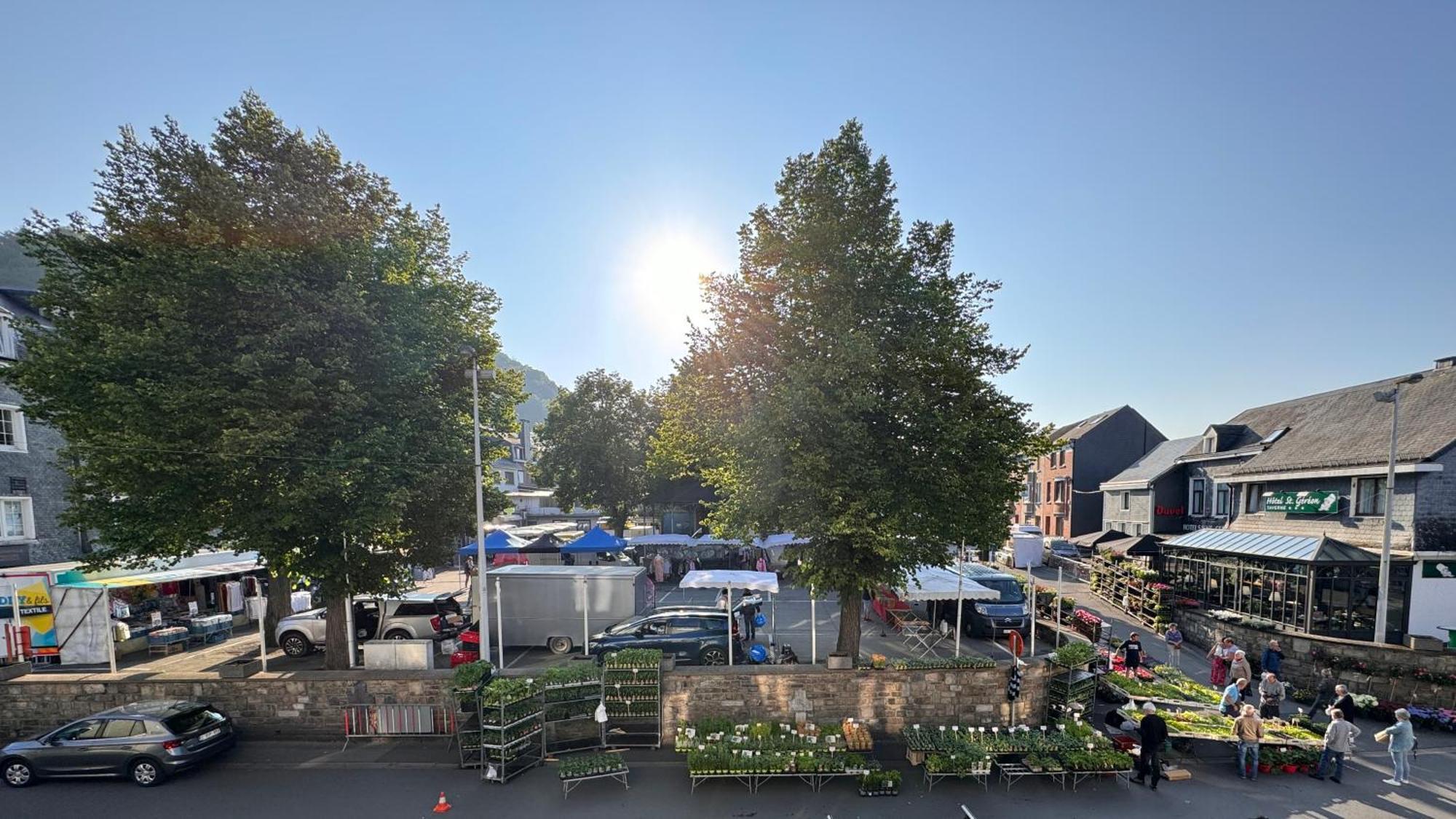 Le Dragon - Gite Accueillant Malmedy Buitenkant foto