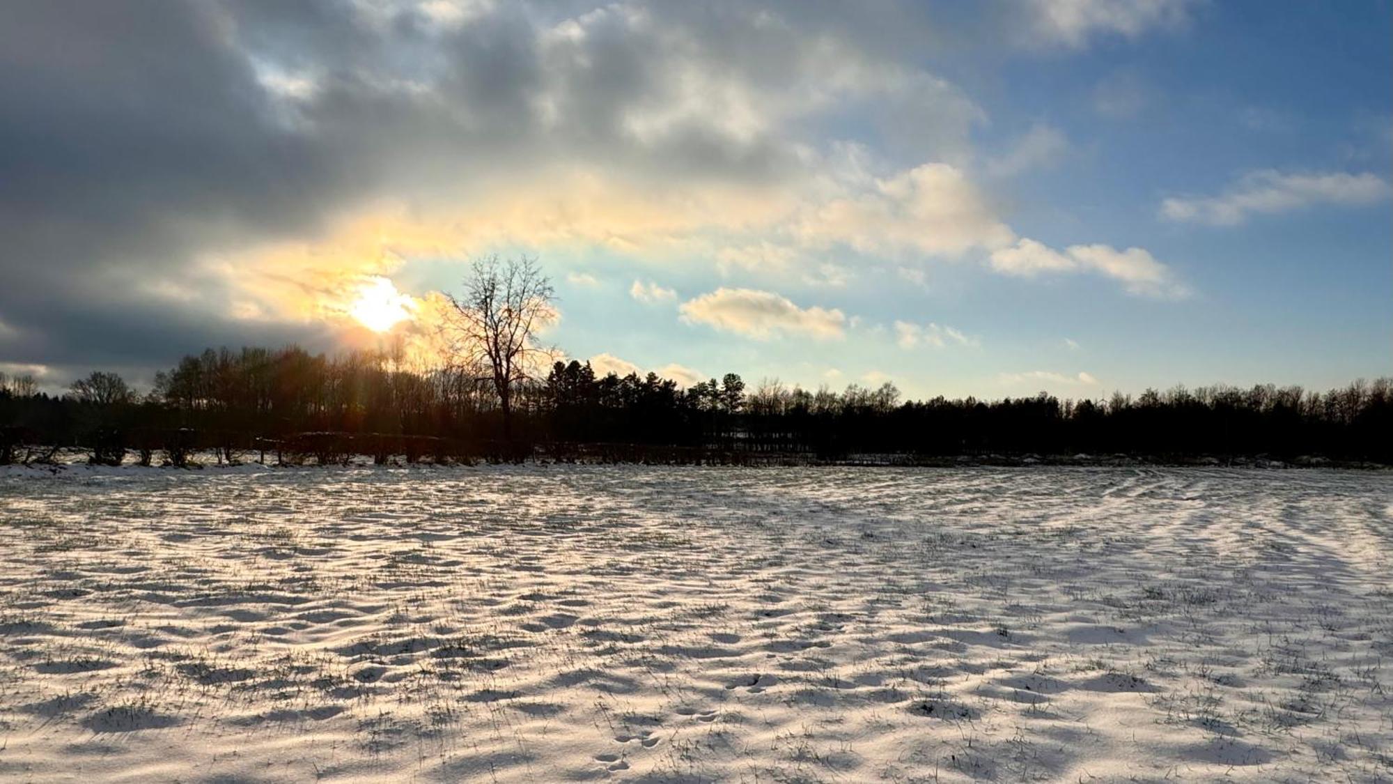 Le Dragon - Gite Accueillant Malmedy Buitenkant foto
