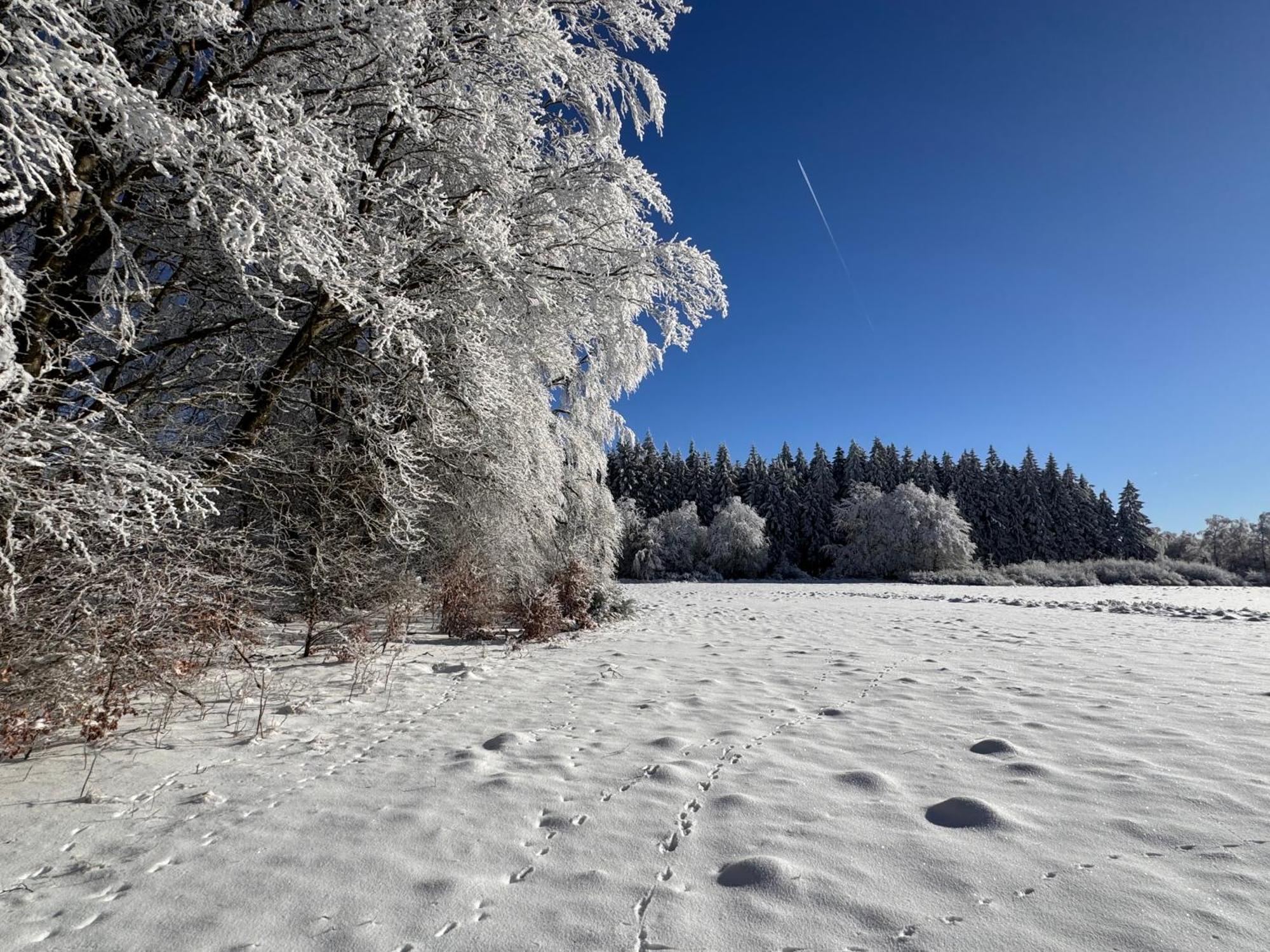 Le Dragon - Gite Accueillant Malmedy Buitenkant foto