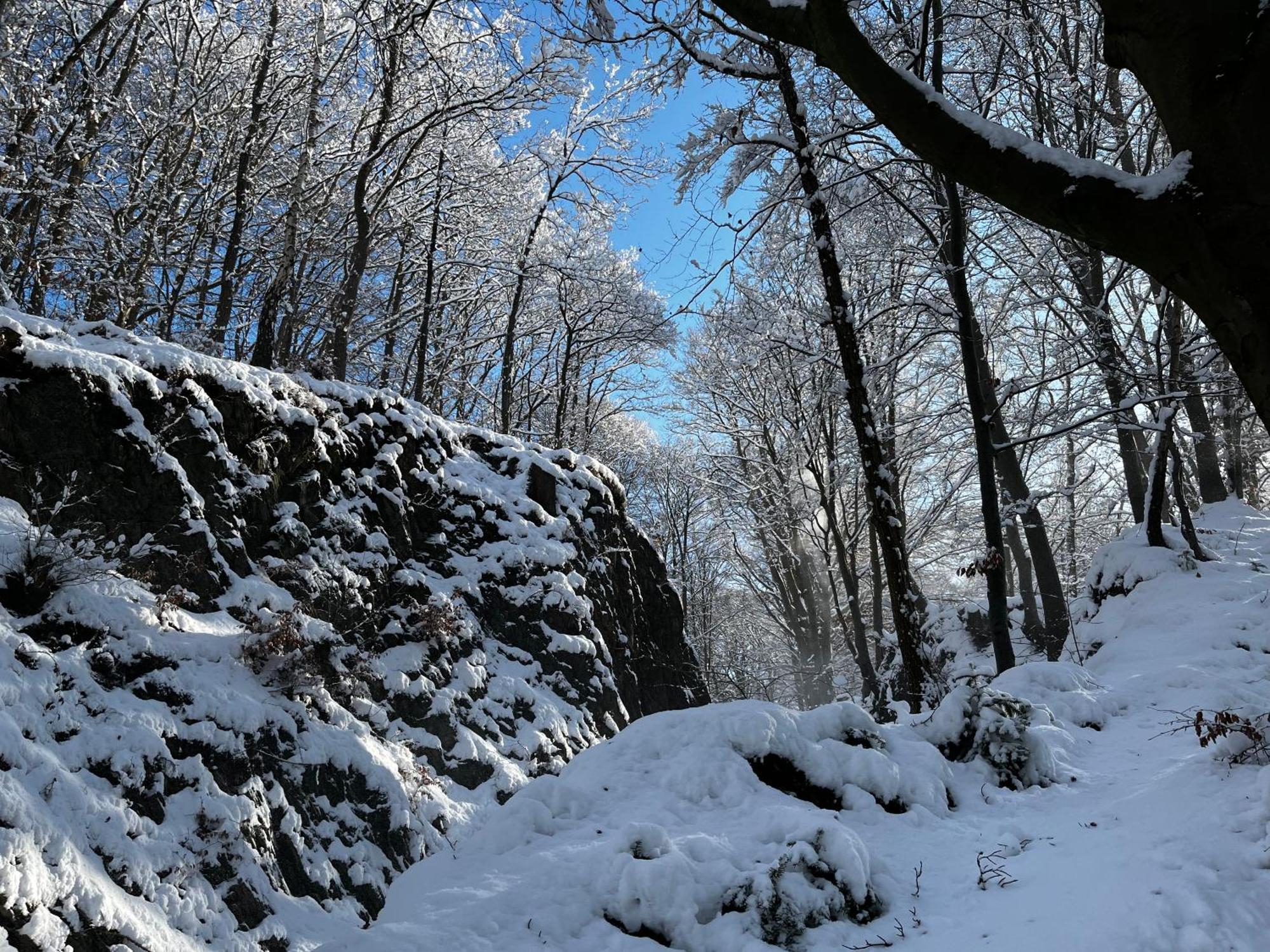 Le Dragon - Gite Accueillant Malmedy Buitenkant foto